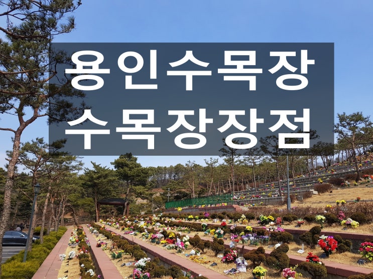  용인수목장 정확히 알고싶어요~