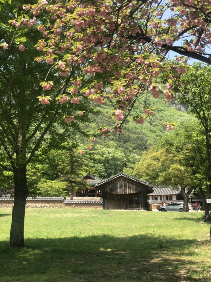  군산여행 (내소사+동국사+키친후가+비응반점+박대구이) 아이허브 그래놀라 아이허브 할인코드 +남포면옥 어복쟁반