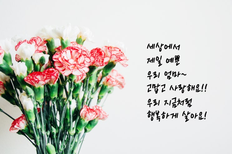  어버이날 문구 감사전하기 어버이날 선물 전하기