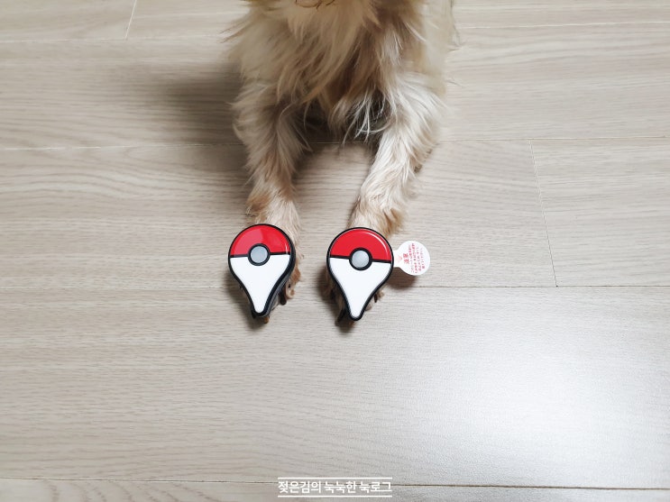 3월 26일, 27일, 28일 일기 3월 26일, 27일, 28일 일기
