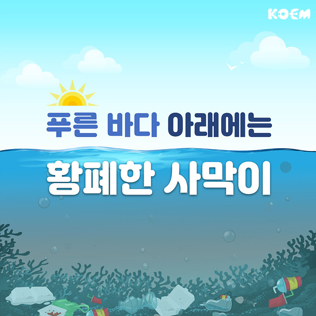  바다 속에서도 사막화가 일어난다! 백화(바다사막화)현상&바다식목일