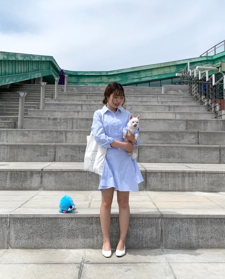 강아지커플룩 모코블링 셔츠 예뻐요 
