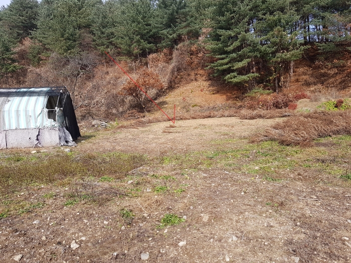 경기도 가평군 북면 이곡리 406   토지 를 소개해 드립니다.