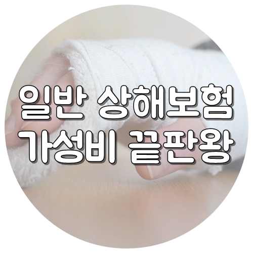  일반상해보험 가성비 甲