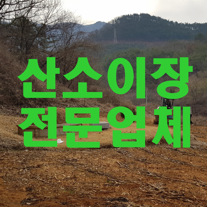  영천 산소이장(산소개장) 절차와 비용 사례 분석