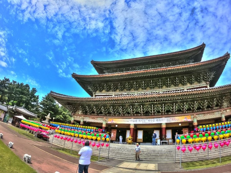  5월 제주도 여행 부처님 오신 날 앞둔 약천사(藥泉寺)