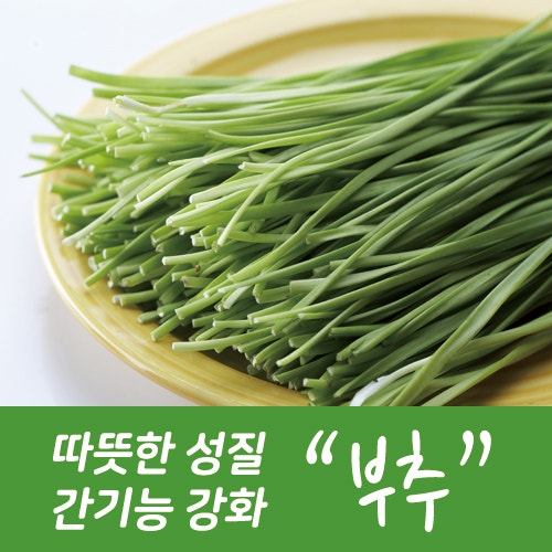 부추 효능 영양 듬뿍 곁들여 금상첨화 채소