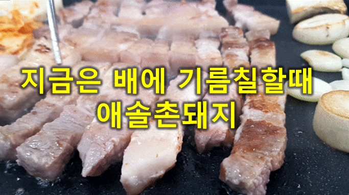  발산역고기집 삼겹살 맛집: 애솔촌돼지