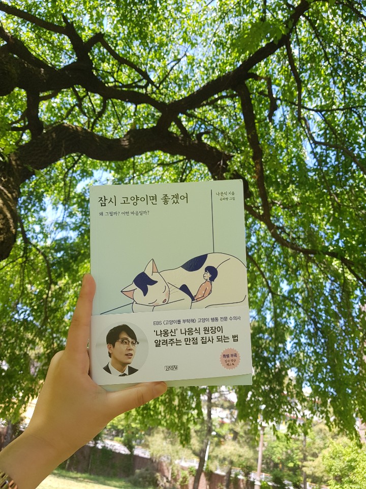  나응식[잠시 고양이면 좋겠어]: 고양이들을 사랑하는 모든 이들에게