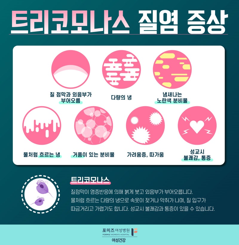 질염 : 질염냉, 칸디다질염, 트리코모나스질염, 세균성질염(가드넬라), 질염약, 카네스텐, 후라시닐정, 2