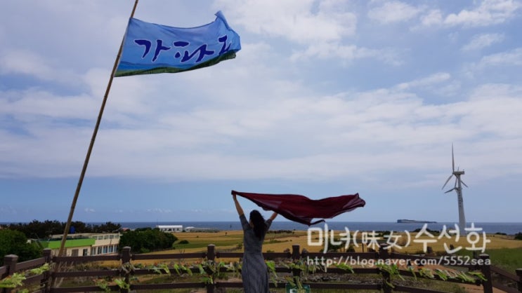  제주도 봄여행 가파도 가는법  청보리축제속에서