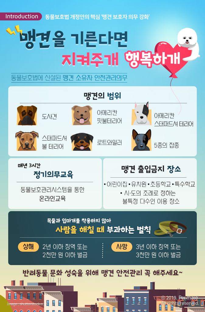  맹견을 기른다면 ..지켜주개 행복하개