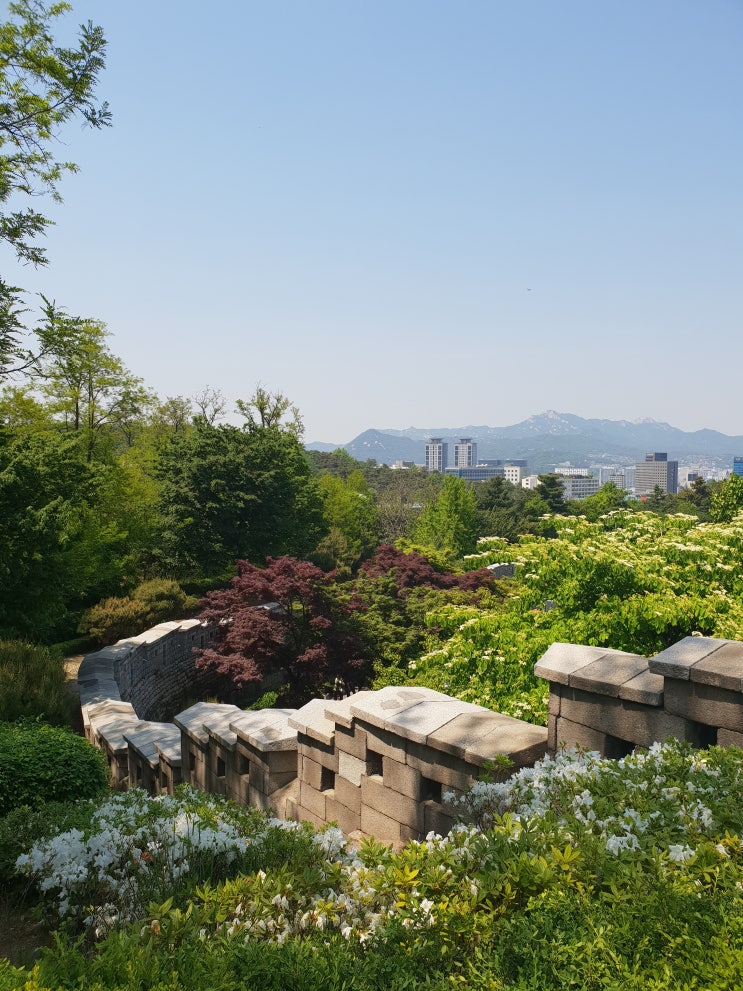  산책하기 좋은곳 다산성곽길~