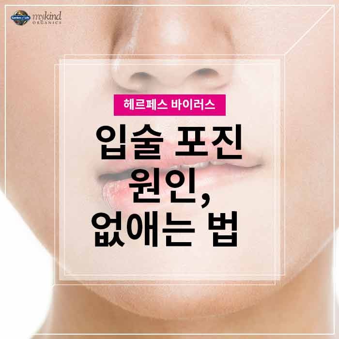 입술 포진 헤르페스 물집 생겼다면 원인은? : 네이버 블로그