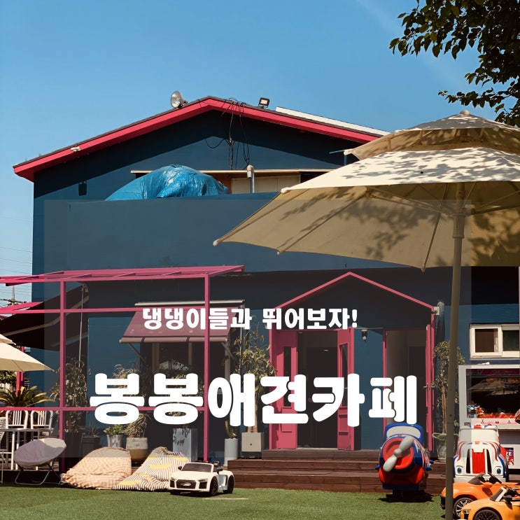  [일상] 덕소 : 봉봉애견카페 - 댕댕이들과 함께 뛰어보세요!