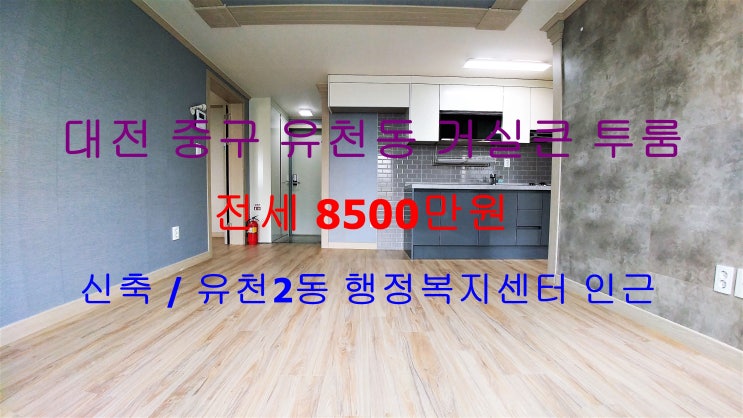 (대전 중구 유천동) 유천2동 행정복지센터 인근에 있는 신축 거실큰 투룸 전세에요 ~ ^^