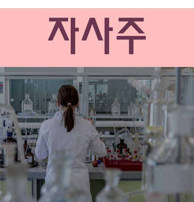  자사주 정확히 알고 활용해 가지급금 처리하자!