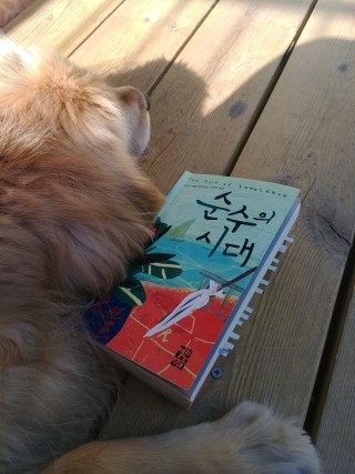 순수의 시대