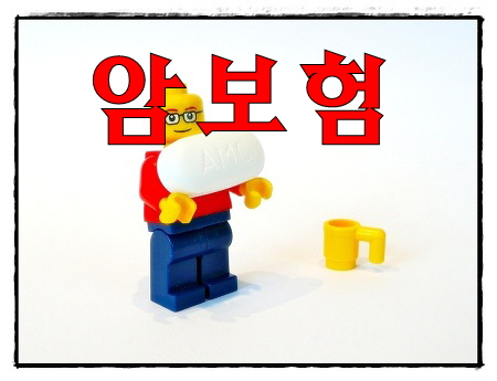  암보험견적 @어렵지않게