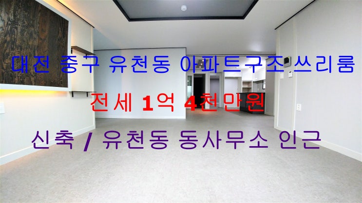  (대전 중구 유천동) 유천동 동사무소 인근에 새로나온 신축 아파트구조 쓰리룸 귀한전세입니다 ~ ^^