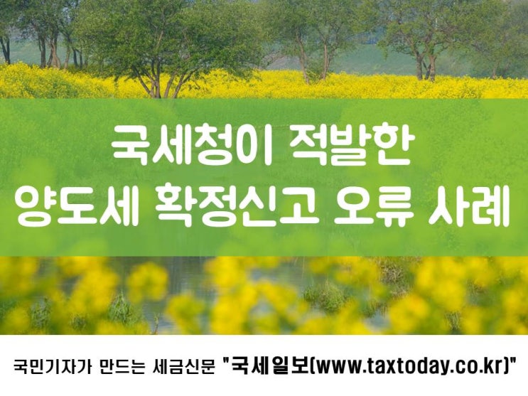  국세청이 적발한 양도소득세 확정신고 오류 사례