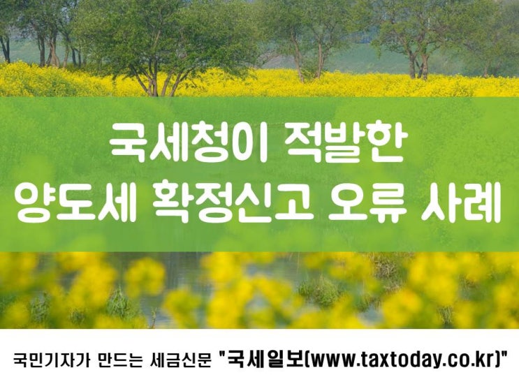 국세청이 적발한 양도소득세 확정신고 오류 사례