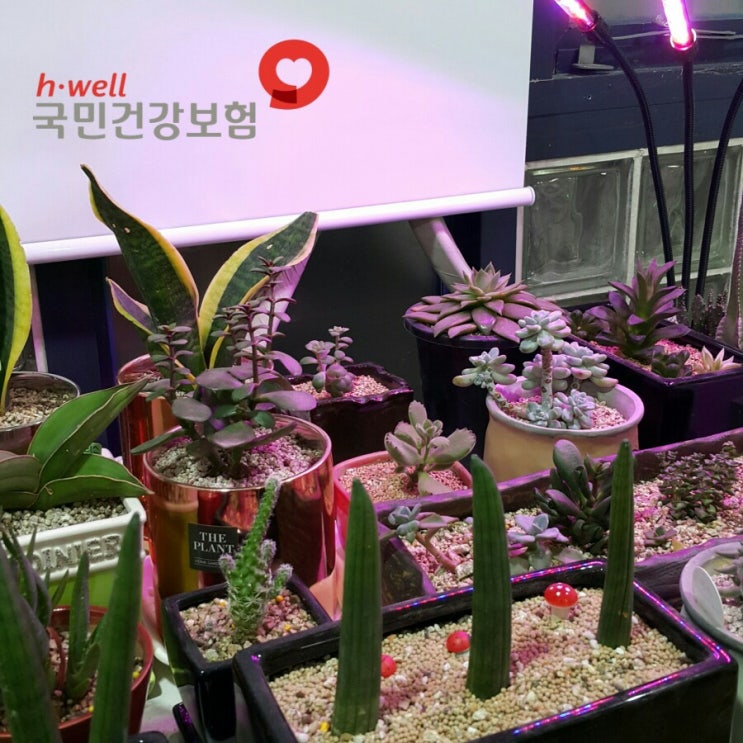 24시간 입주요양 서비스 이용방법 &lt;강남방문요양센터&gt;