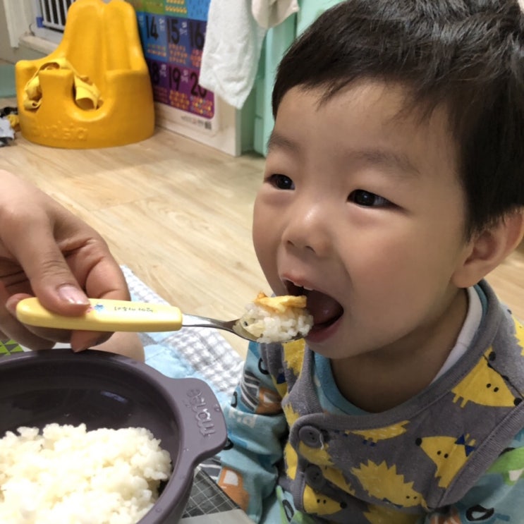 초간단 토마토 계란볶음 요리