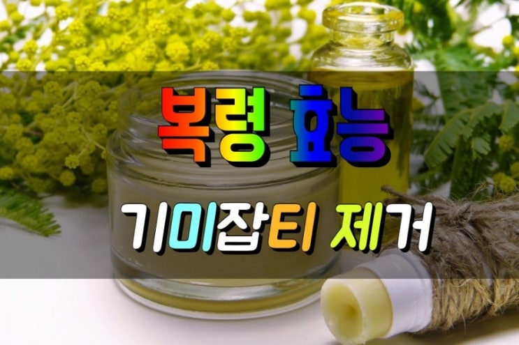  기미 제거에 좋은 복령 효능 및 팩하는 방법