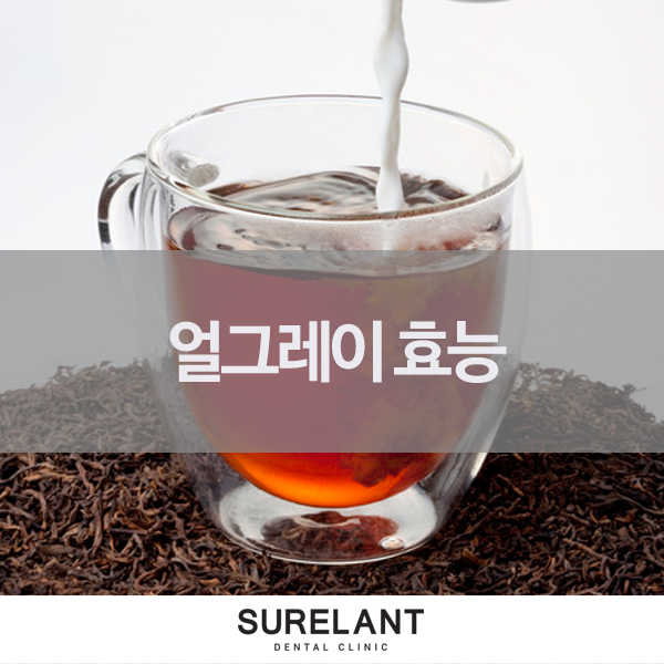  얼그레이 효능 홍차가 좋은 이유