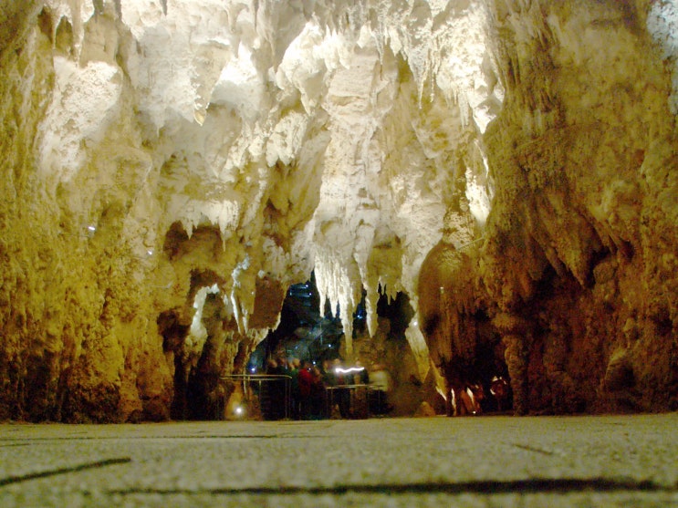 [뉴질랜드북섬] GDTOUR Waitomo Aranui Cave 1-Hour Guided Tour 와이토모 아라누이 동굴 1시간 가이드 투어