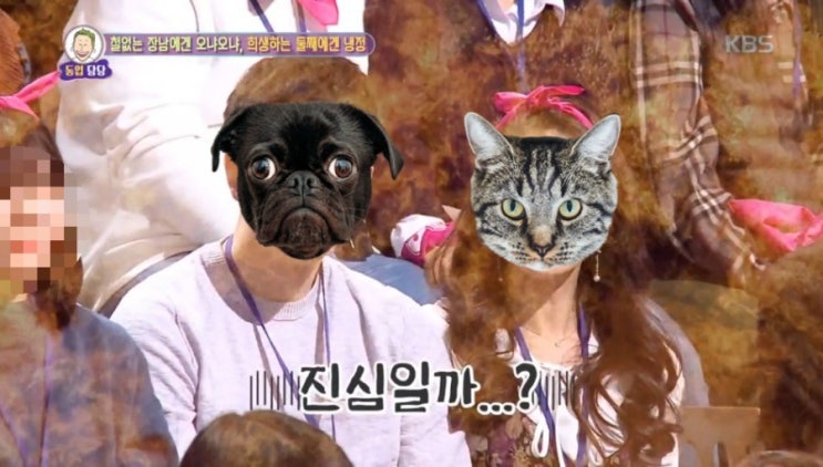  대국민 토크쇼 안녕하세요 방청 당첨! 방청 다녀온 후기 : )