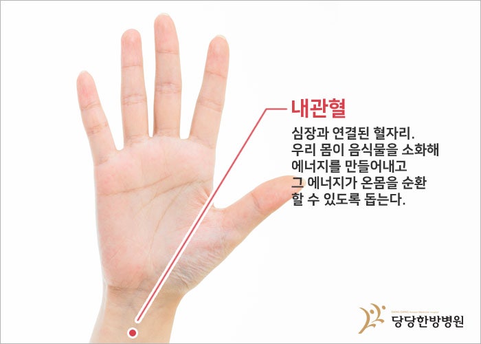 소화 불량 시 해결 방법을 알아보다 3