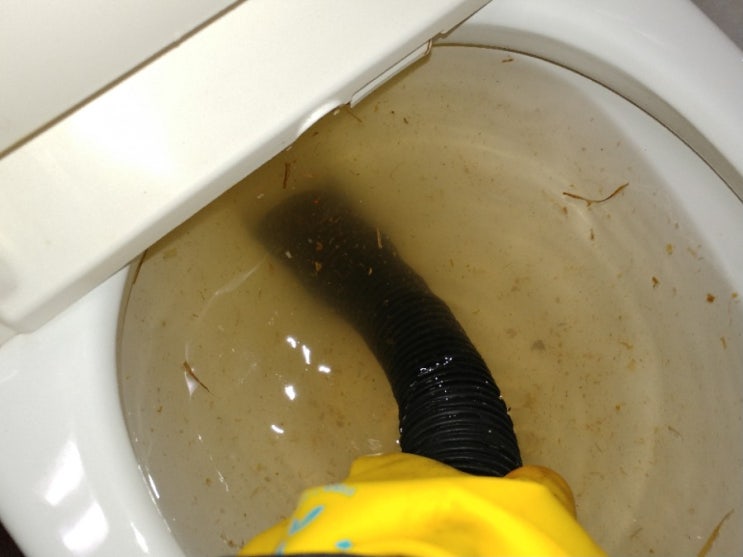  변기에 치약이 들어갔다면 변기 뚫는 업체를 부르세요