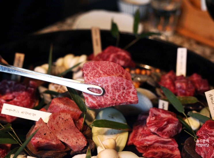  올림픽공원 맛집 으뜸은 '오사카 하루'