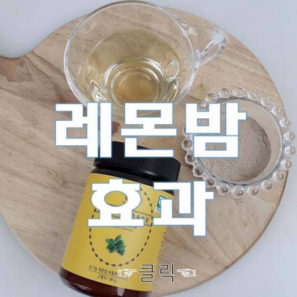  레몬밤효과,효능 100점 만점에 100점~