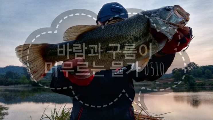  [Spring Fishing]물가나들이 #아침운동 #빅원