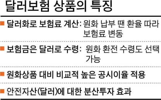 “불안할수록 안전자산으로…” 달러보험이 뜬다 “불안할수록 안전자산으로…” 달러보험이 뜬다