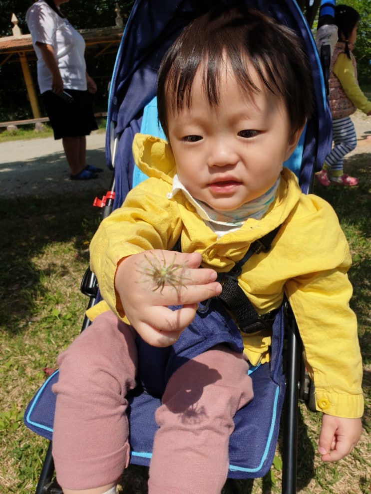  병아리들 실외활동~