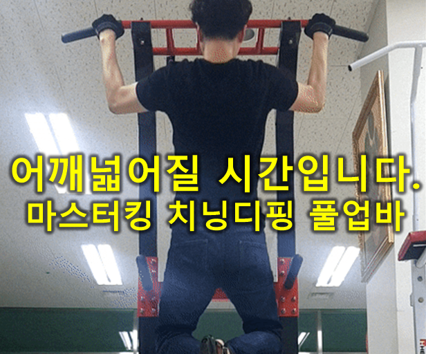  어깨넓어지는운동을 위한 치닝디핑 풀업바