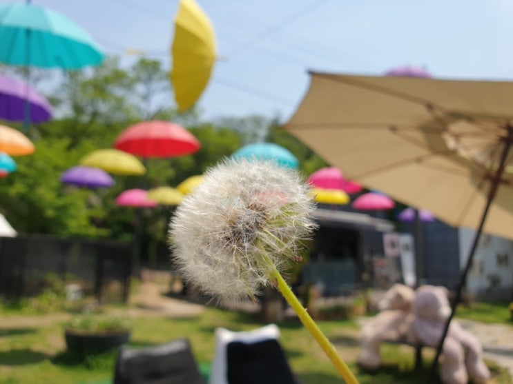  여름아이 시인정지원 여름생일축하곡  세번째 가곡 오페라곡처럼 생소해요 ~^^  사단법인푸른세상 아시아문예