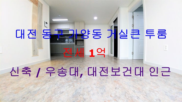  (대전 동구 가양동) 우송대학교, 대전보건대학교 인근에 있는 신축 거실큰투룸 건물에 하나남은 전세매물이에요 ~^^