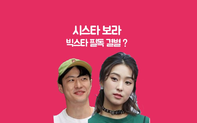 씨스타 보라 필독 결별 해체 이유는?
