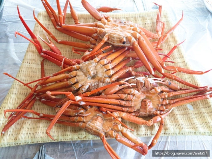  [강릉 맛집] 주문진 홍게 무한리필/추성훈,안정환이 알바했던 곳/도깨비촬영지 근처