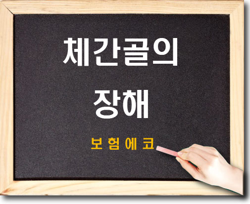  체간골의 장해