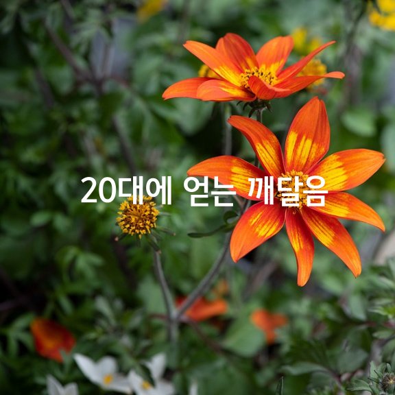  20대에 얻는 20가지 깨달음