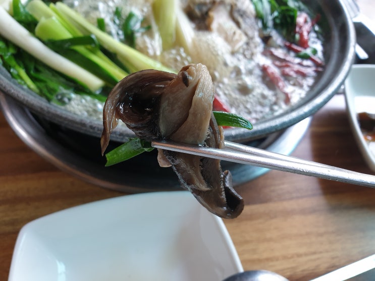  [남양주 닭백숙] 맛있는녀석들 해신탕 맛집 (매봉골황제 능이버섯)
