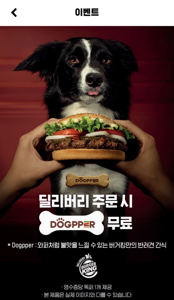  버거킹 독퍼 받고 싶어요!!!