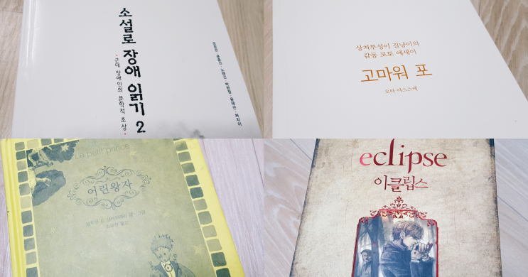  BOOK 09 내가 읽었던 인상적인 책 4권 20190108-20190202/어린왕자/소설로장애읽기2