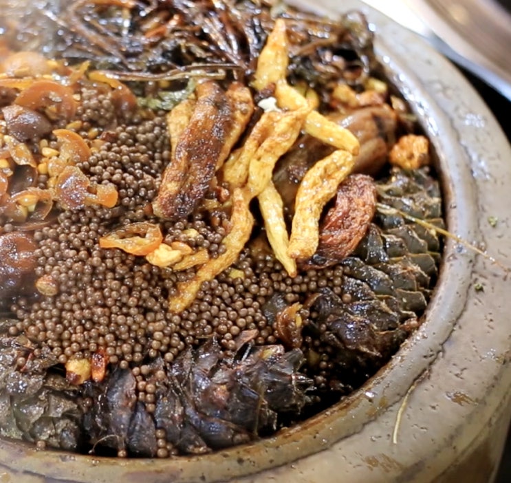  불금엔 힘스(hims) 효소오력탕!